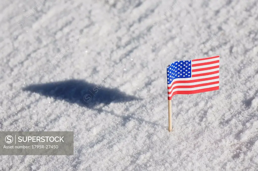American flag in the snow