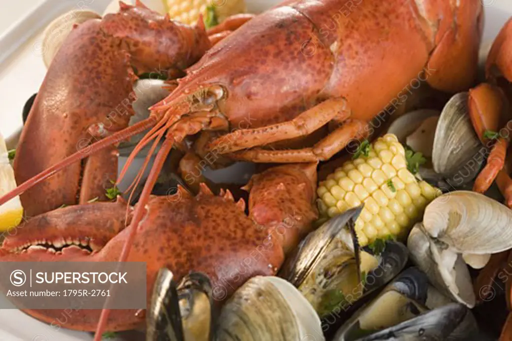 Still life of lobster and clams