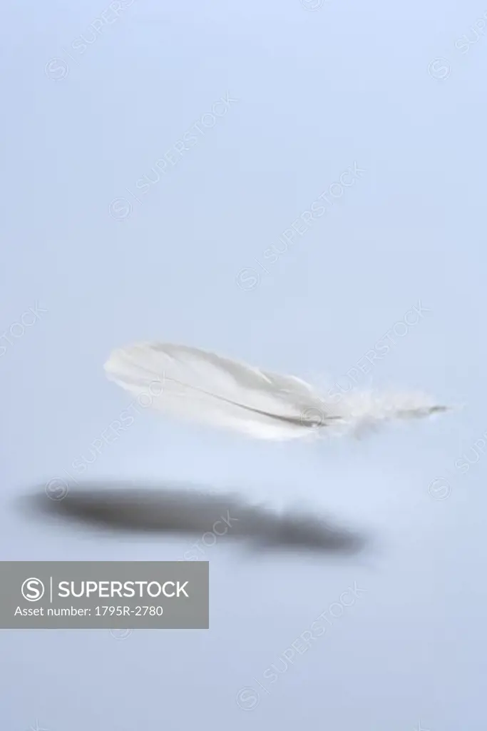 Feather falling
