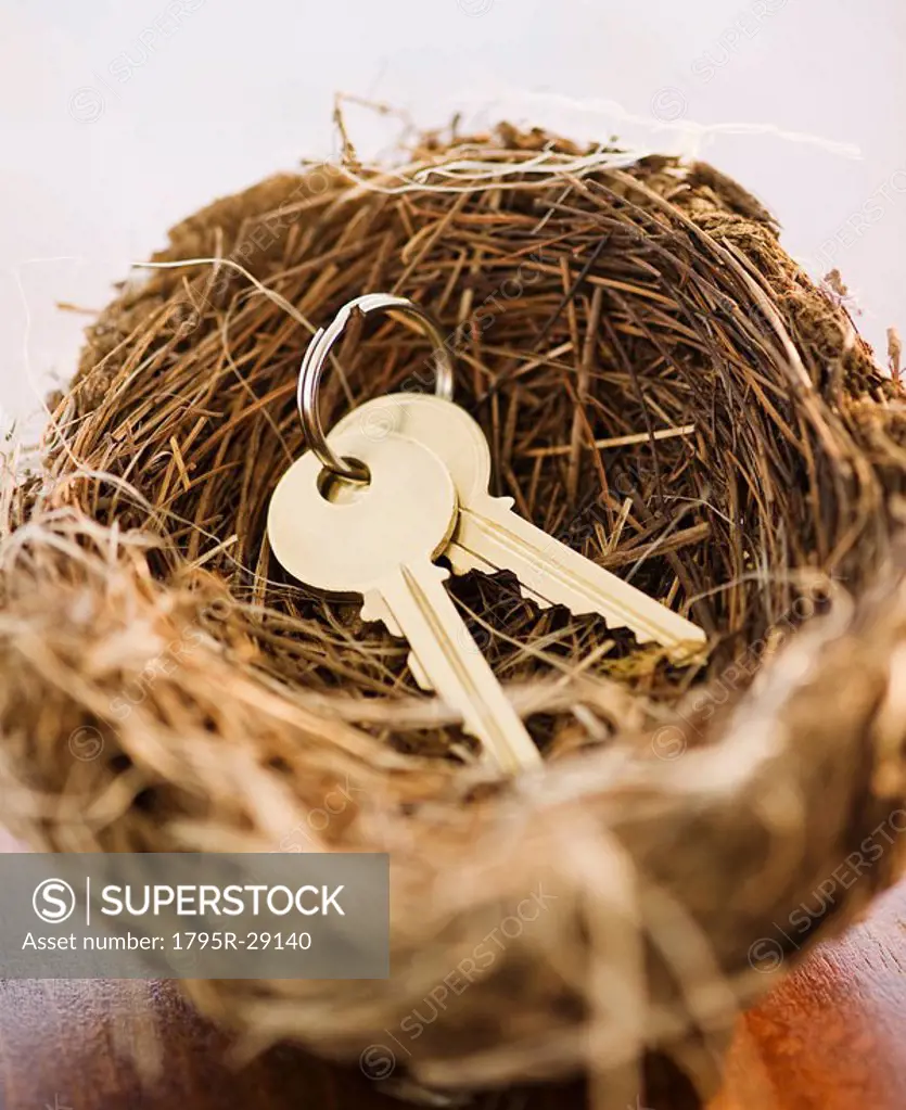 Keys in a bird nest