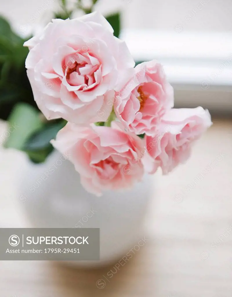 Vase of pink garden roses