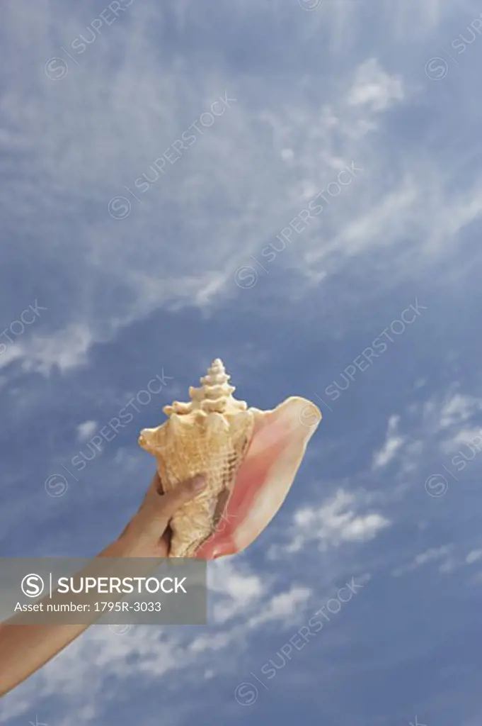 Hand holding conch shell with sky
