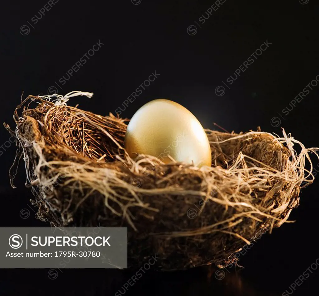Golden egg in a bird nest