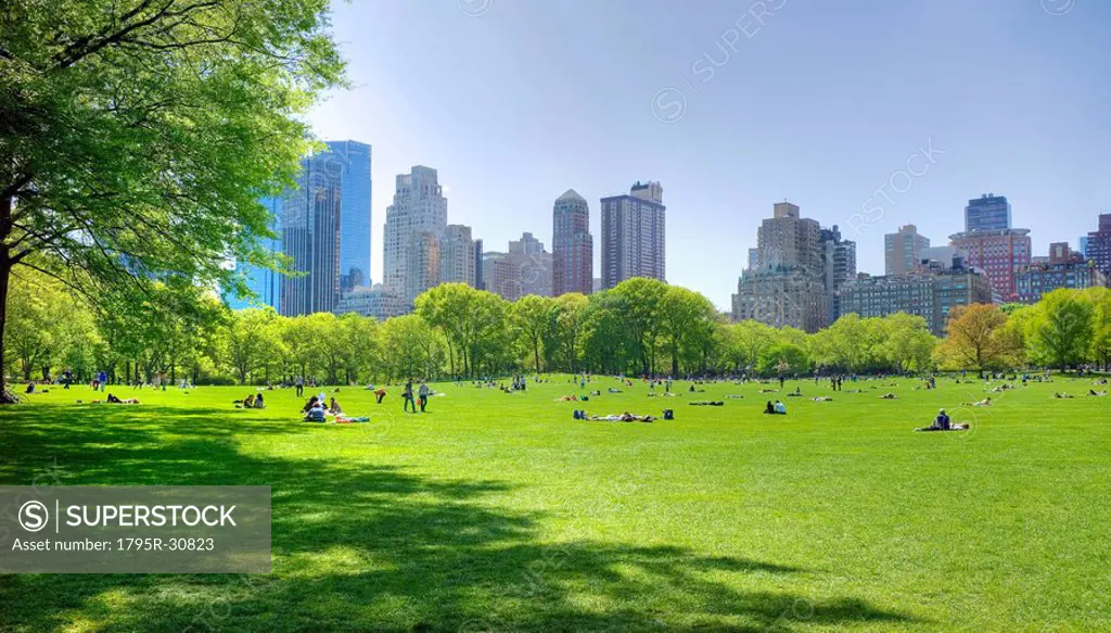Great lawn in Central Park