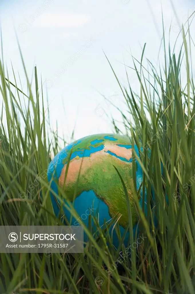 Globe in grass