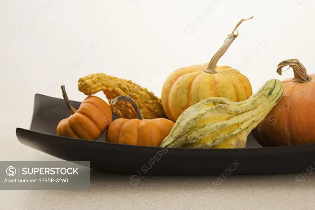 Still life of gourds