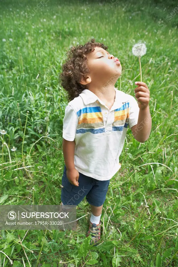 Young child blowing dandelion seed head