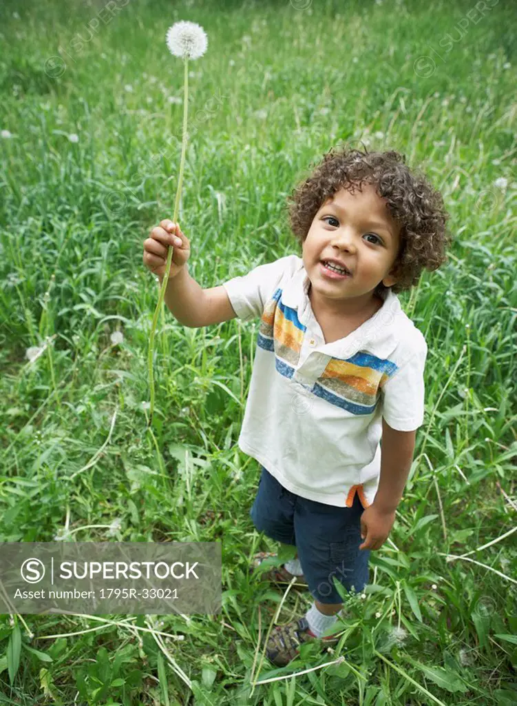 Cute young child holding dandelion