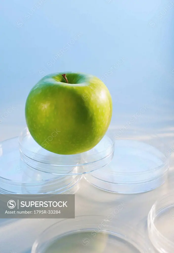 Apple in Petri dish
