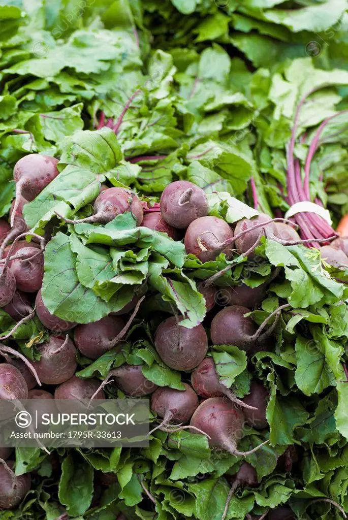 Pile of fresh beets