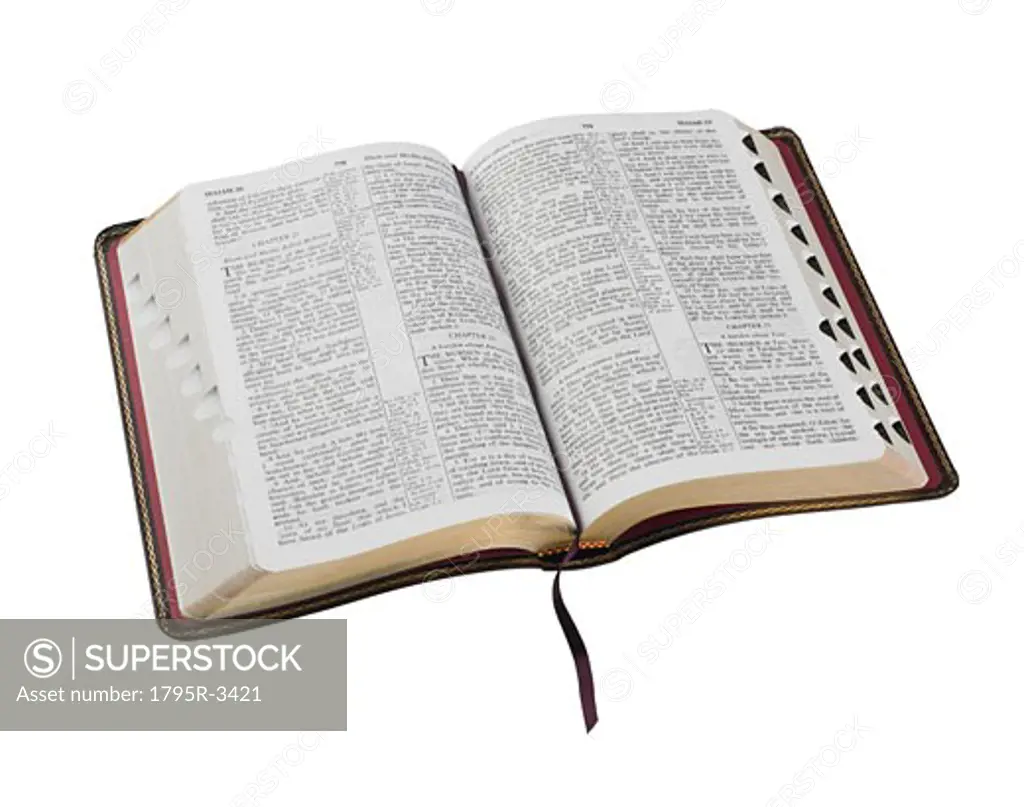 An open Holy Bible