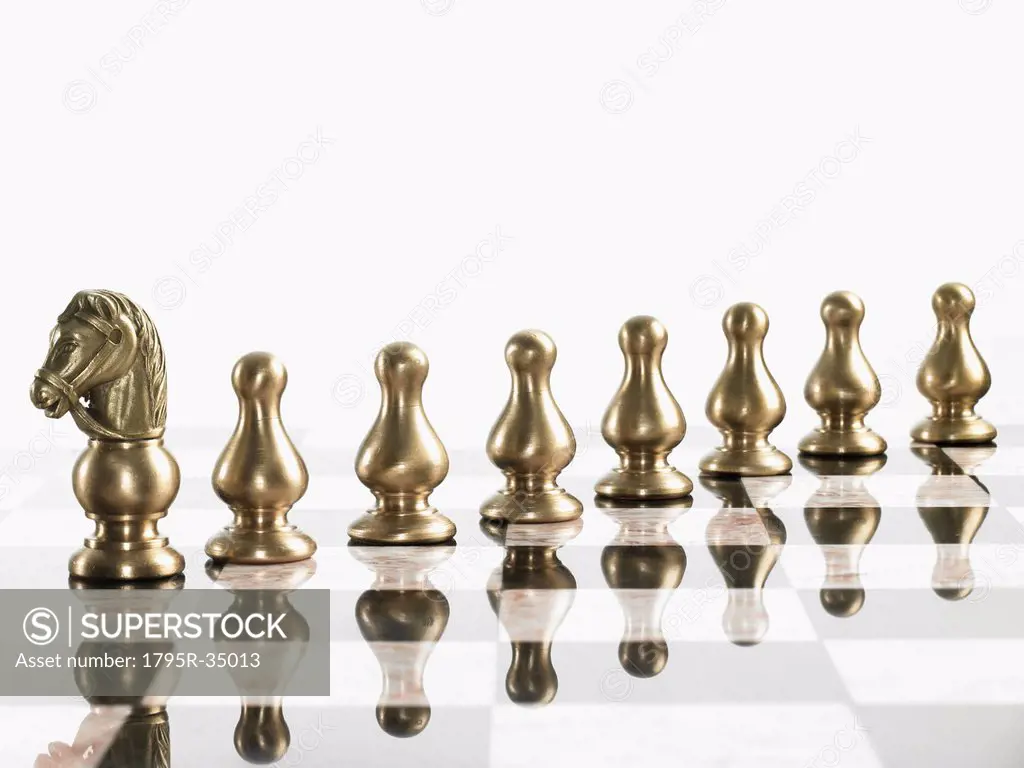 Knight with pawn chess pieces on board