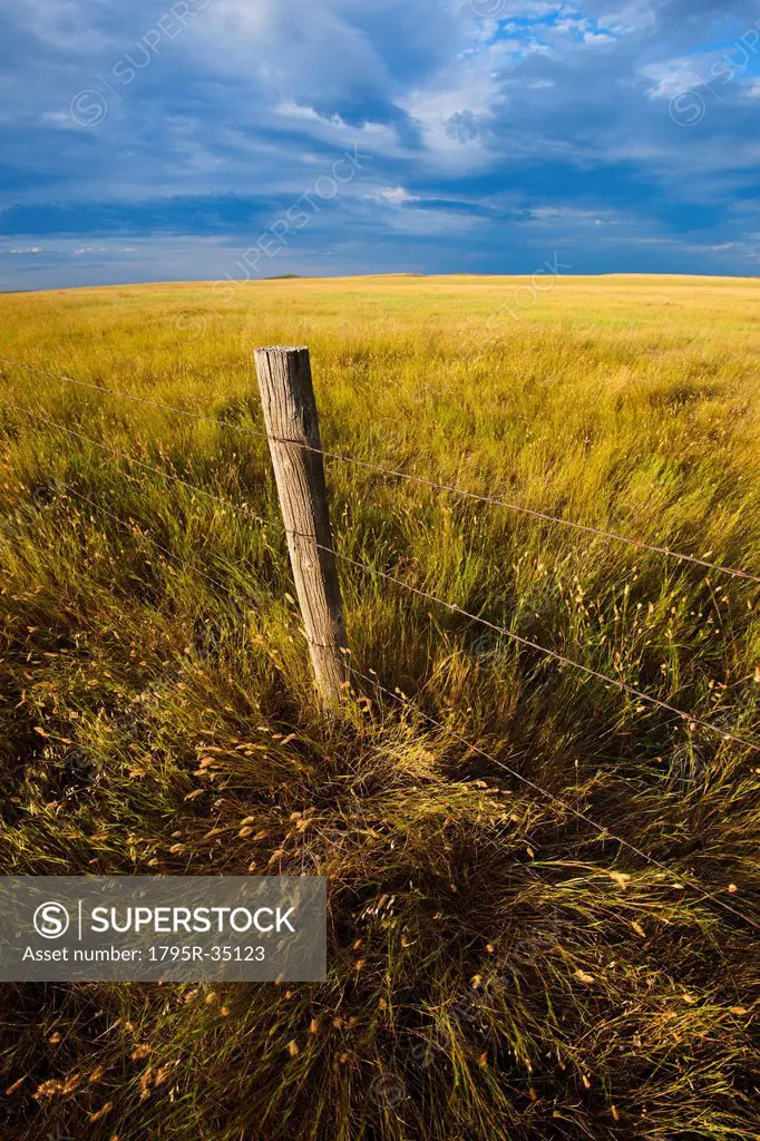 Fence in prairie grass