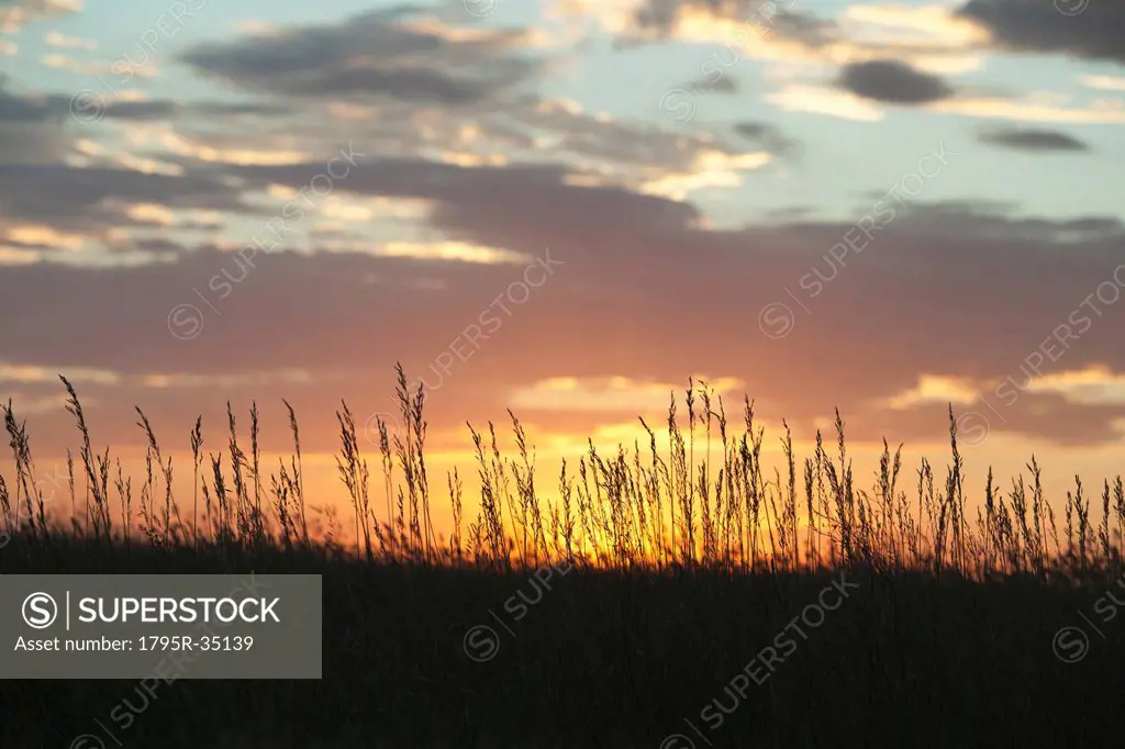Sunset above prairie