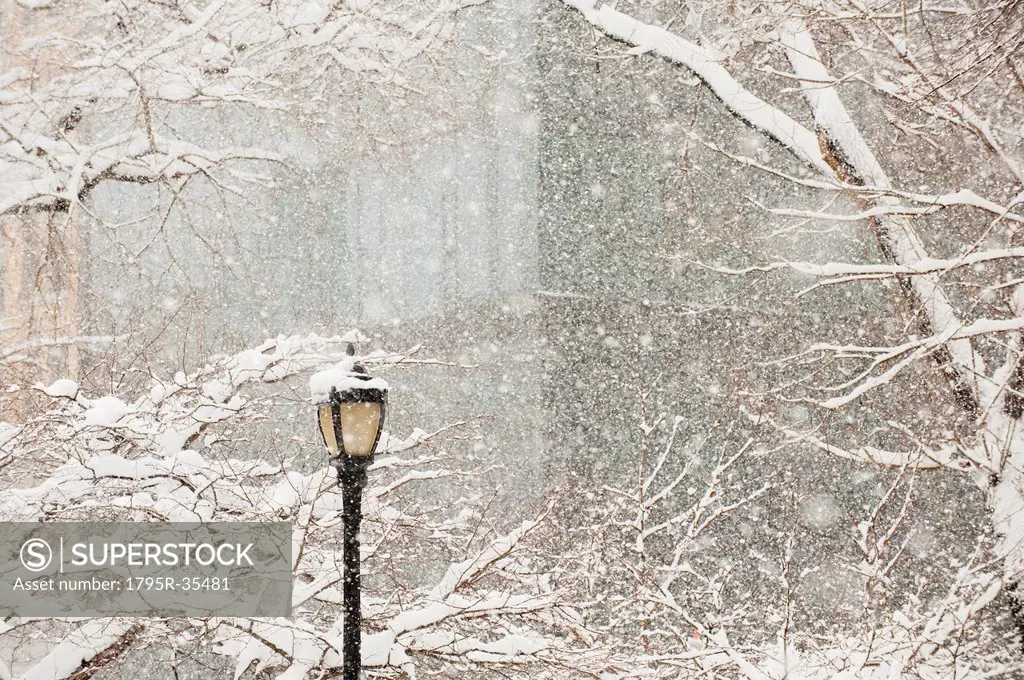 Snow covered tree branches and lamp post, apartment building in background