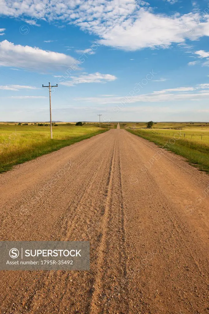 Dirt road crossing prairie