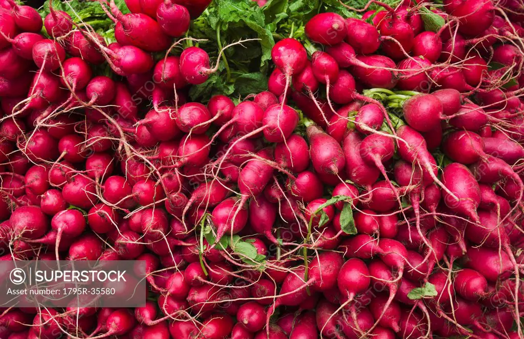 Close up of red radishes