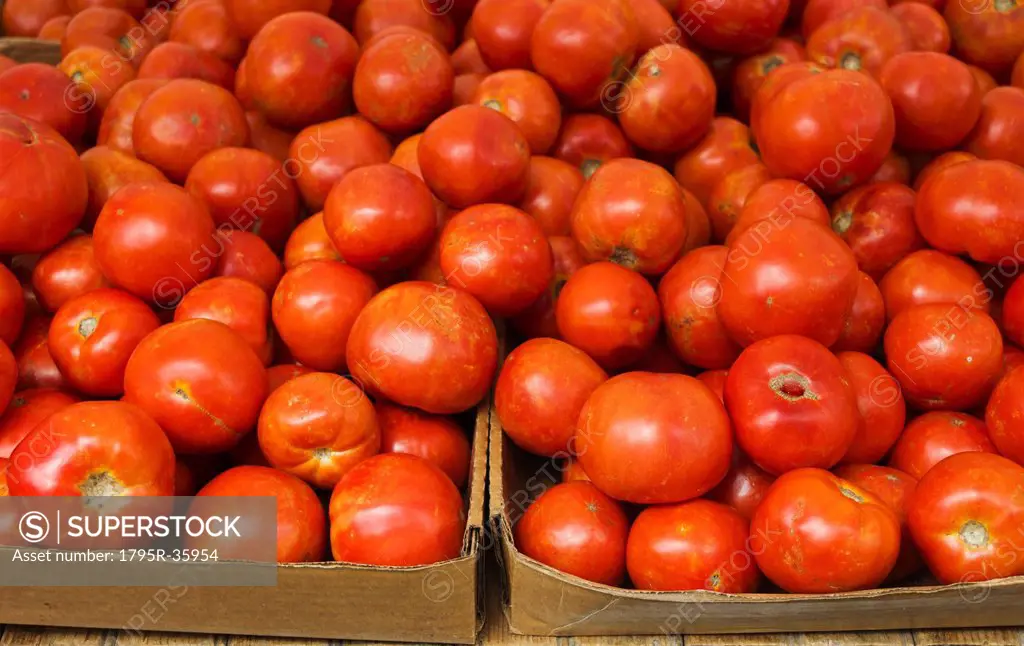 Close up of tomatoes in cardboard boxes