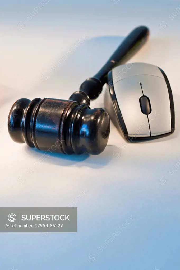 Computer mouse and gavel