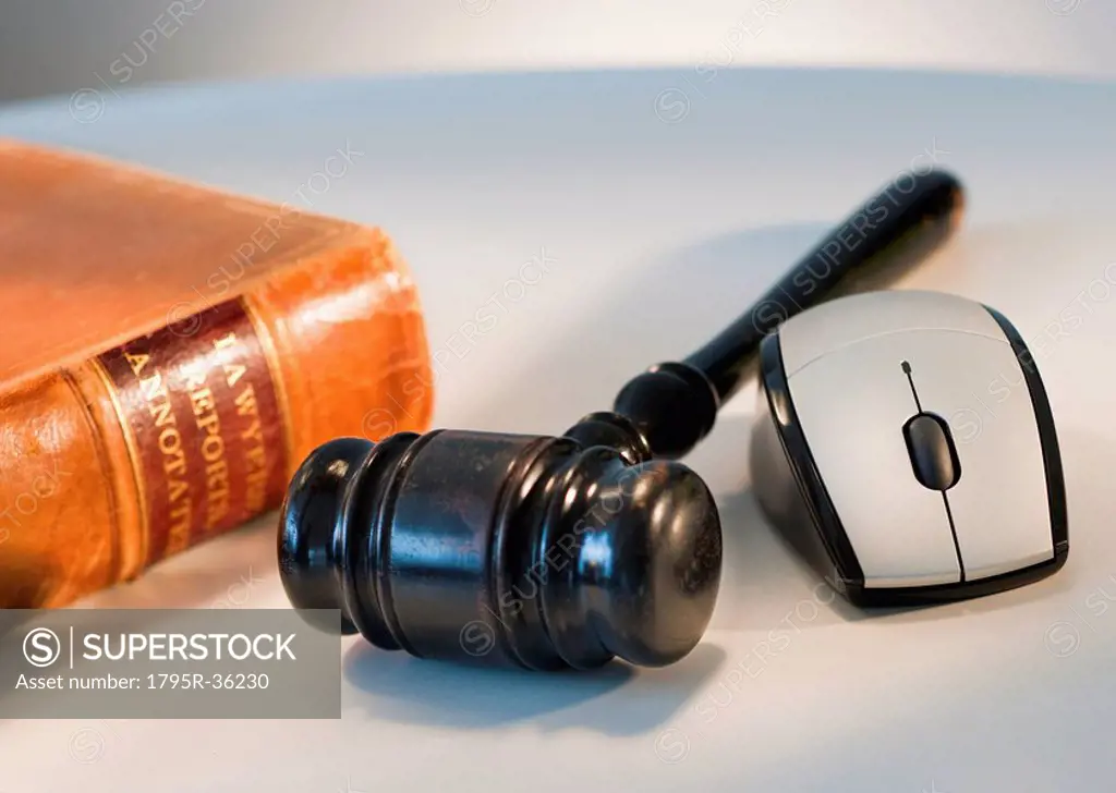 Computer mouse and gavel