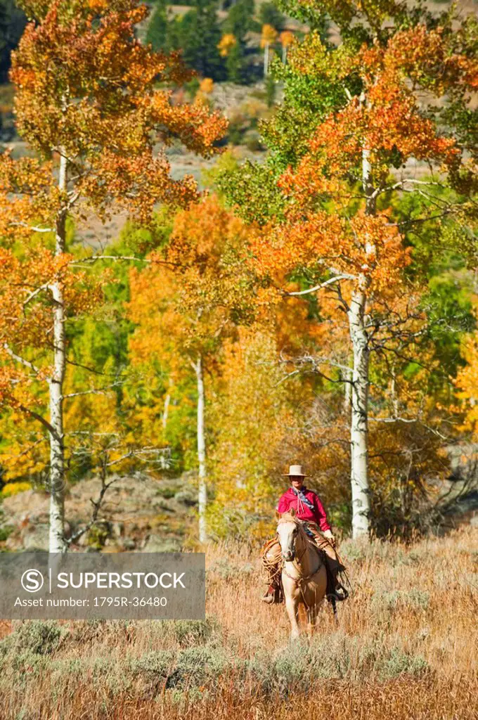 Horseback rider