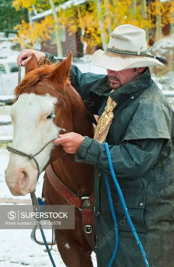 Man putting bridle on horse