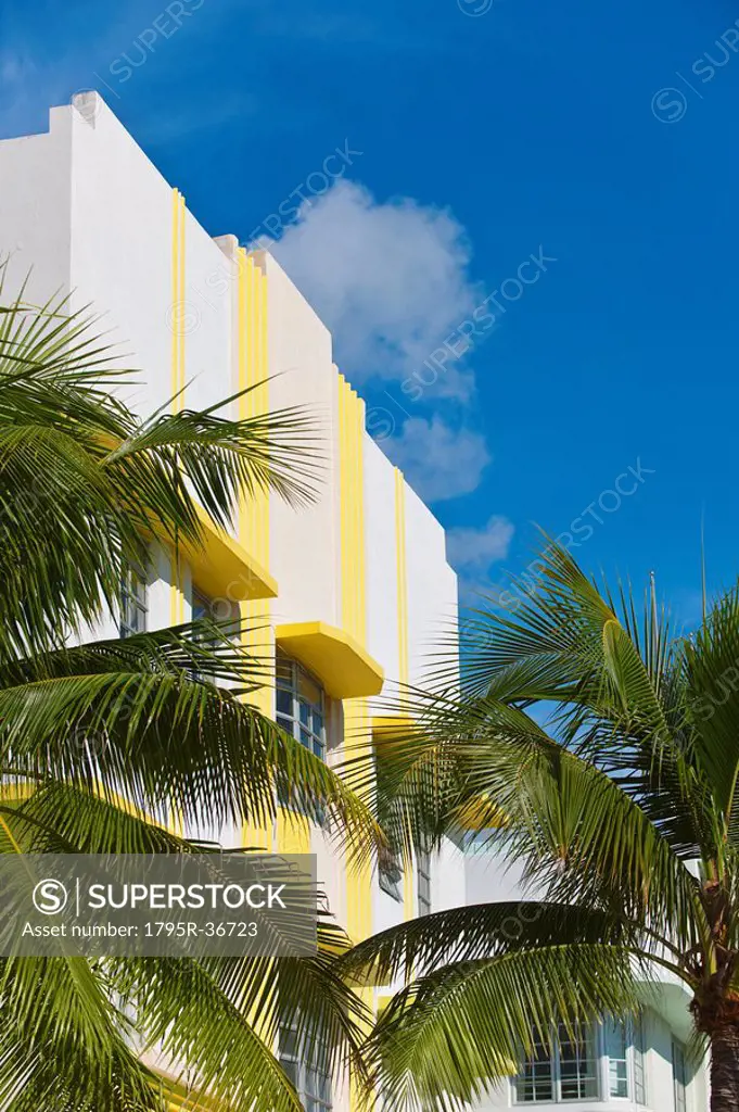Palm trees and art deco building