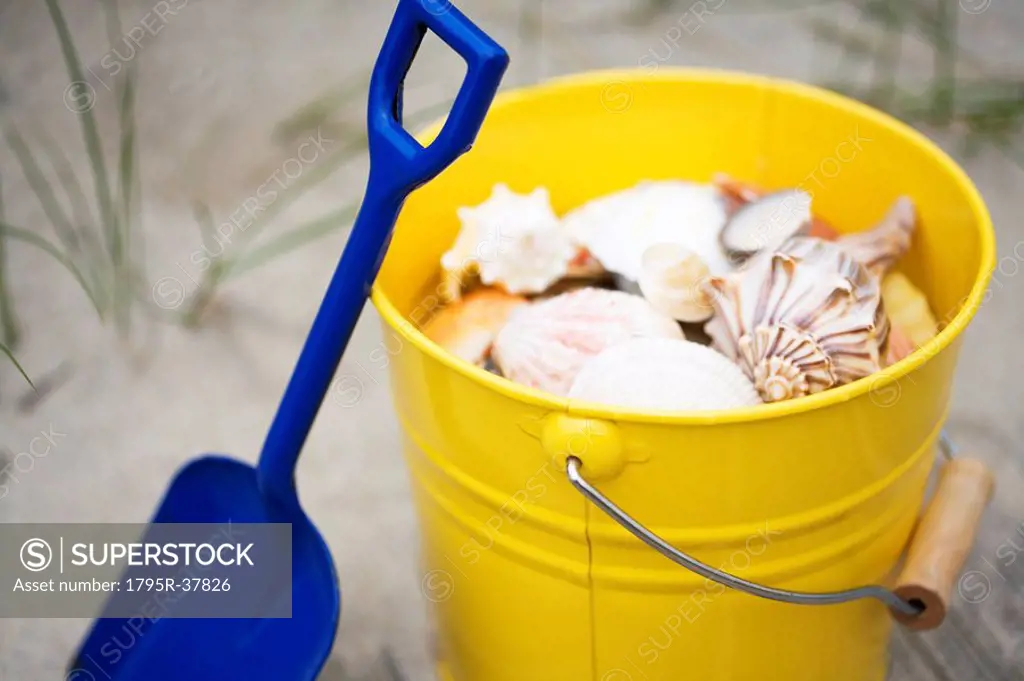 Beach shovel and pail of shells