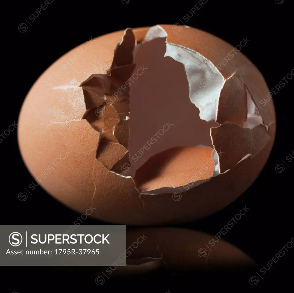 Cracked brown egg shell