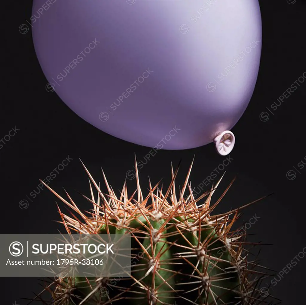 Balloon close to cactus thorns
