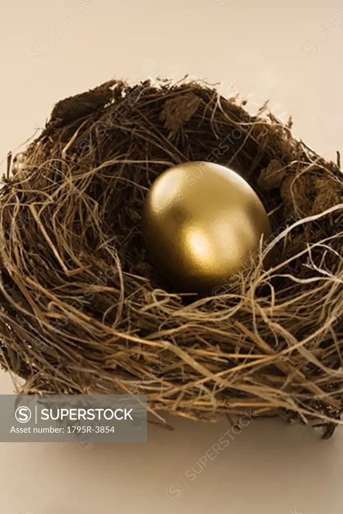 Still life of golden egg in nest
