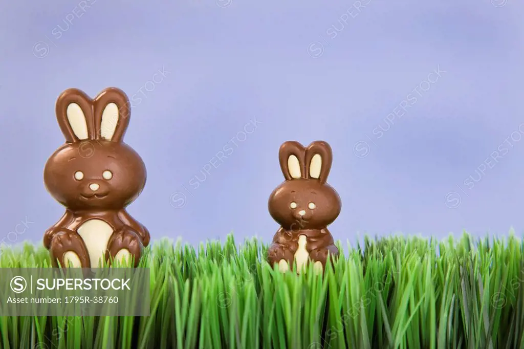 Two chocolate Easter bunnies