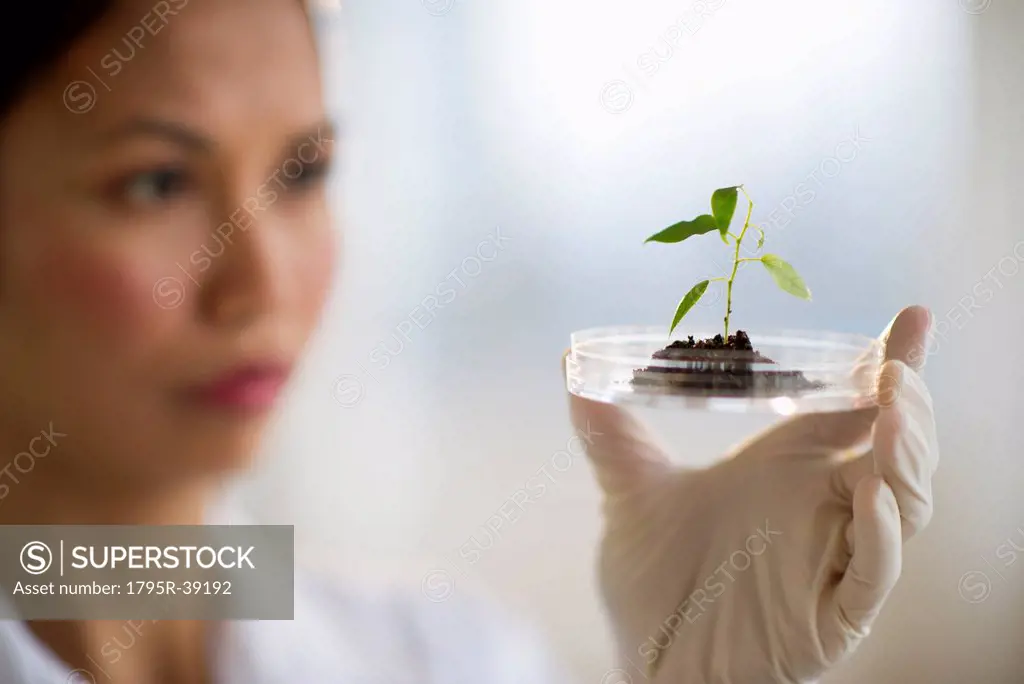 USA, New Jersey, Jersey City, Female scientist holding seedling in petri dish