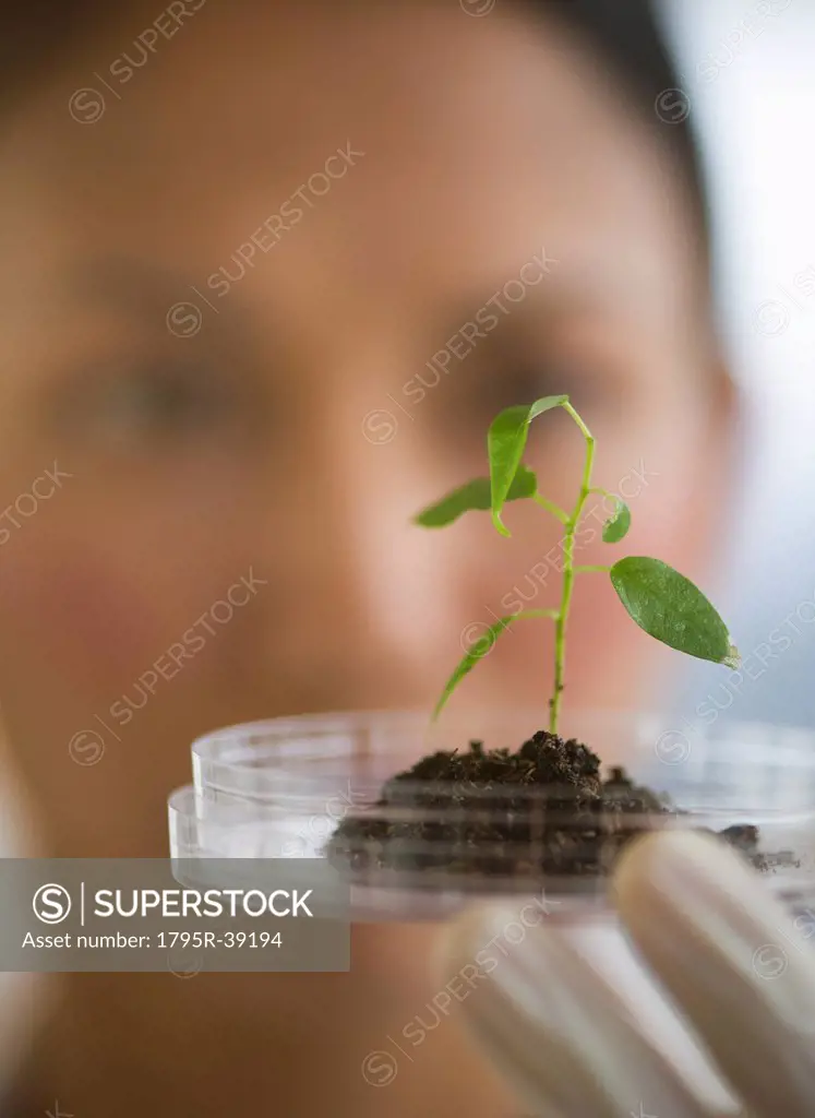 USA, New Jersey, Jersey City, Female scientist holding seedling in petri dish