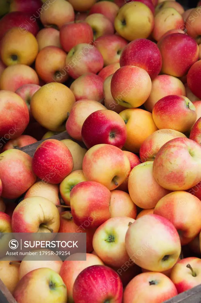 Pile of apples on market stall