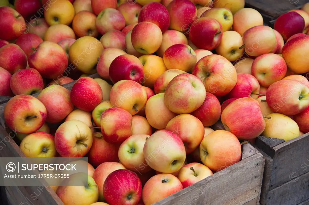 Piles of apples in crates on market stall