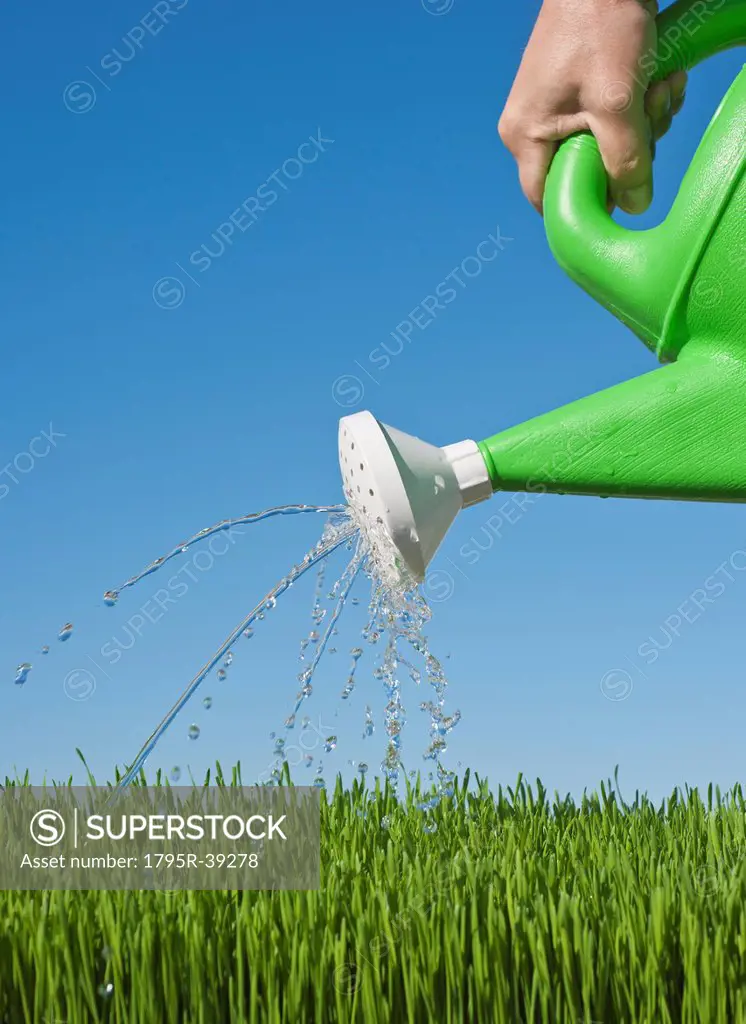 Man watering grass using watering can