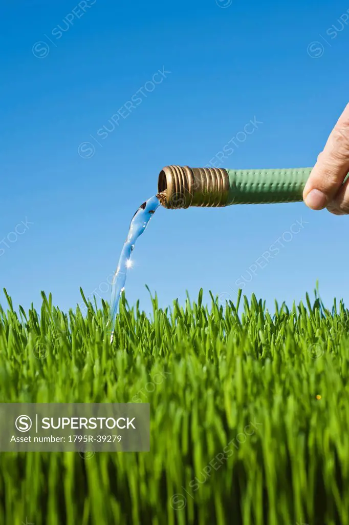 Man watering grass using hose