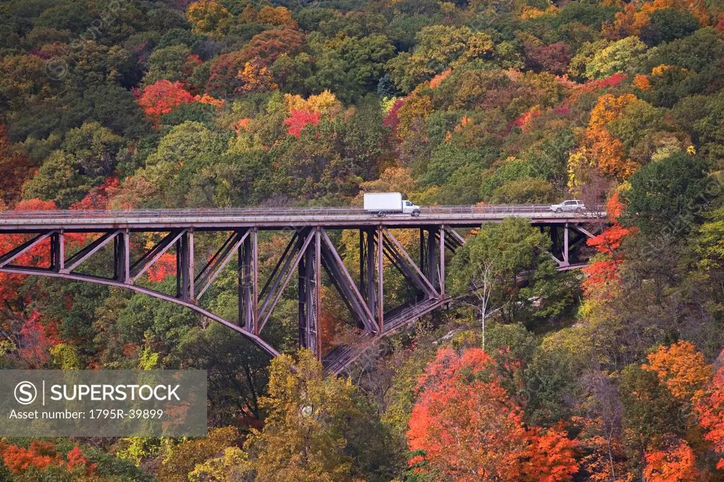 USA, New York, Bear Mountain, bridge in forest