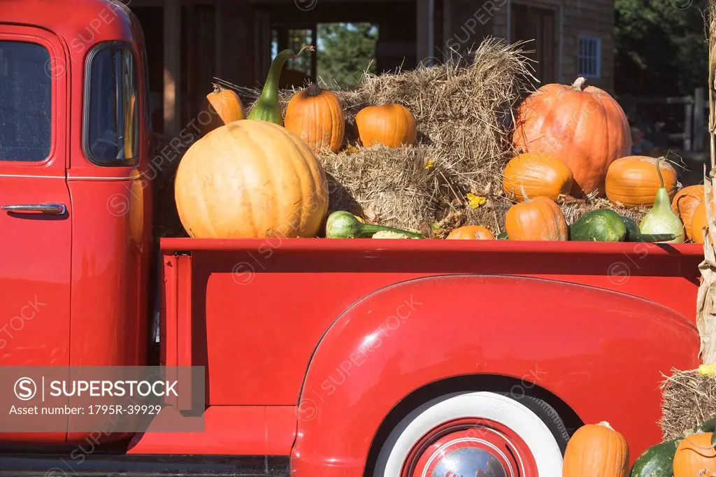 USA, New York, Peconic, pickup truck loaded with pumpkins