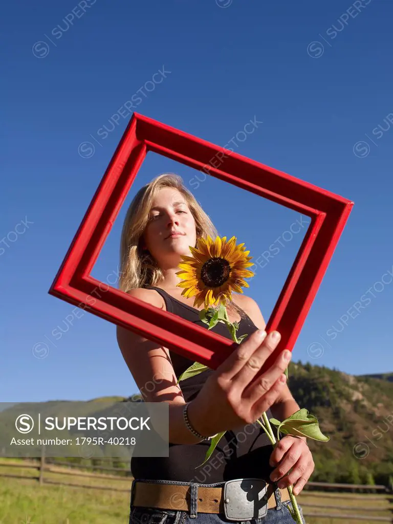 USA, Colorado, Young woman holding picture frame and sunflower