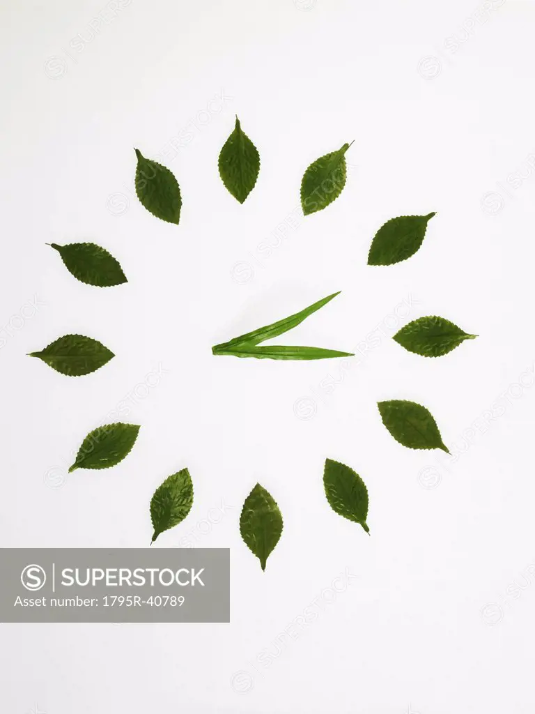 Clock face made of leaves