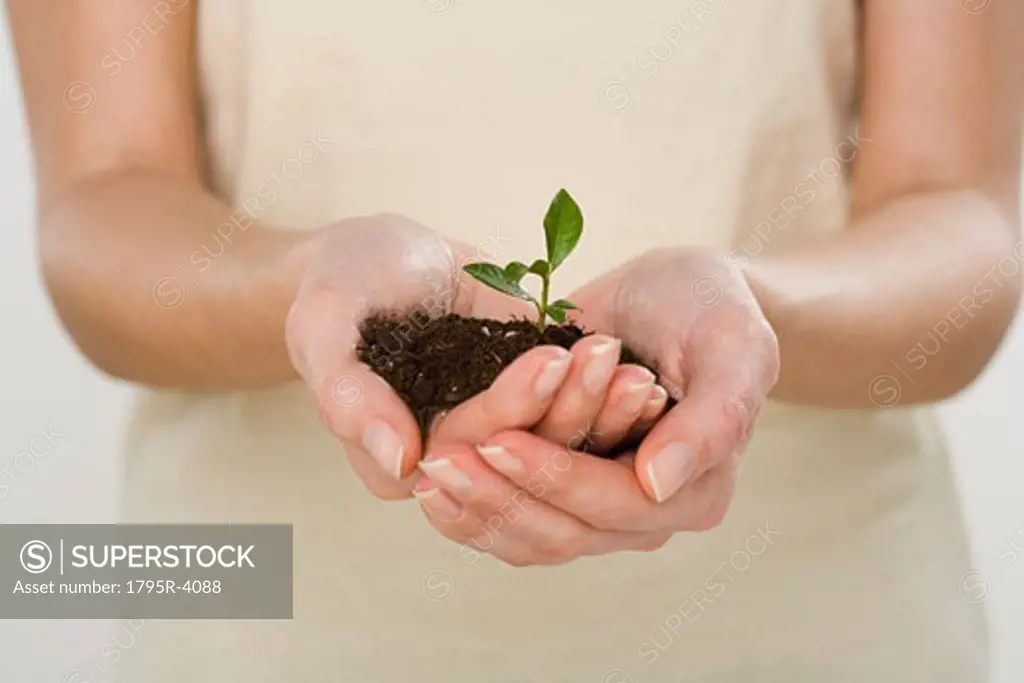 Woman holding seedling