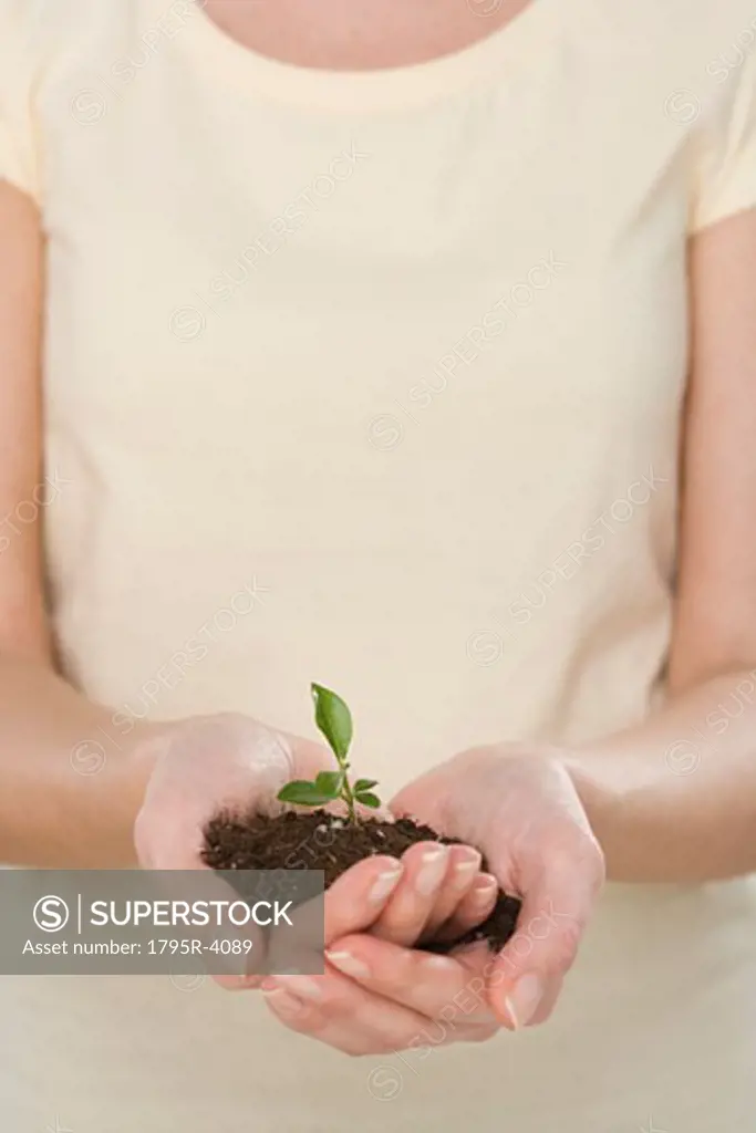 Woman holding seedling