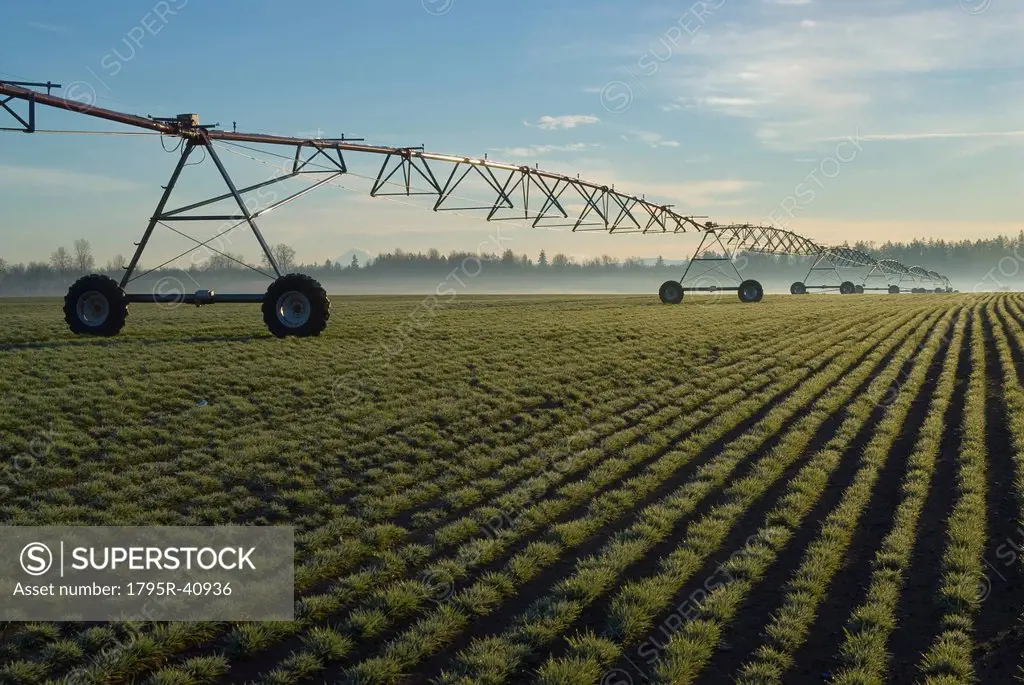 USA, Oregon, Agricultural sprinklers in field