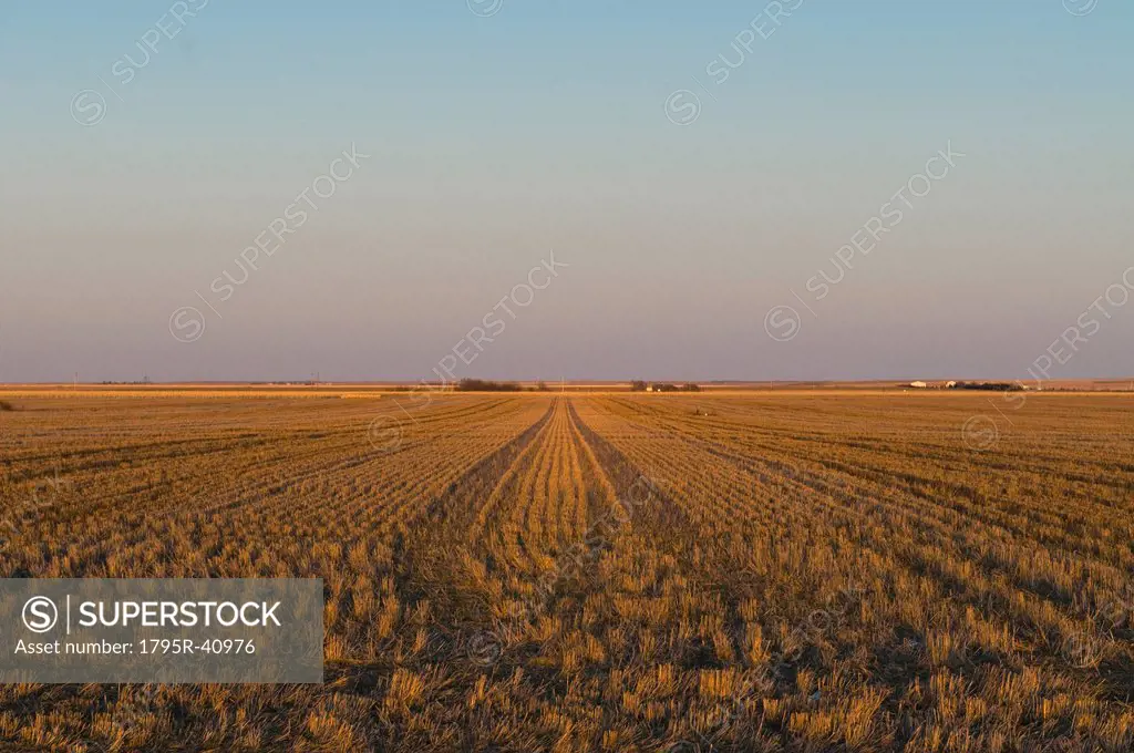 USA, Kansas, field