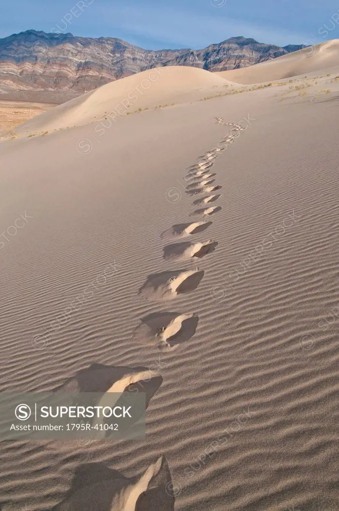 USA, California, Footprints of desert dune