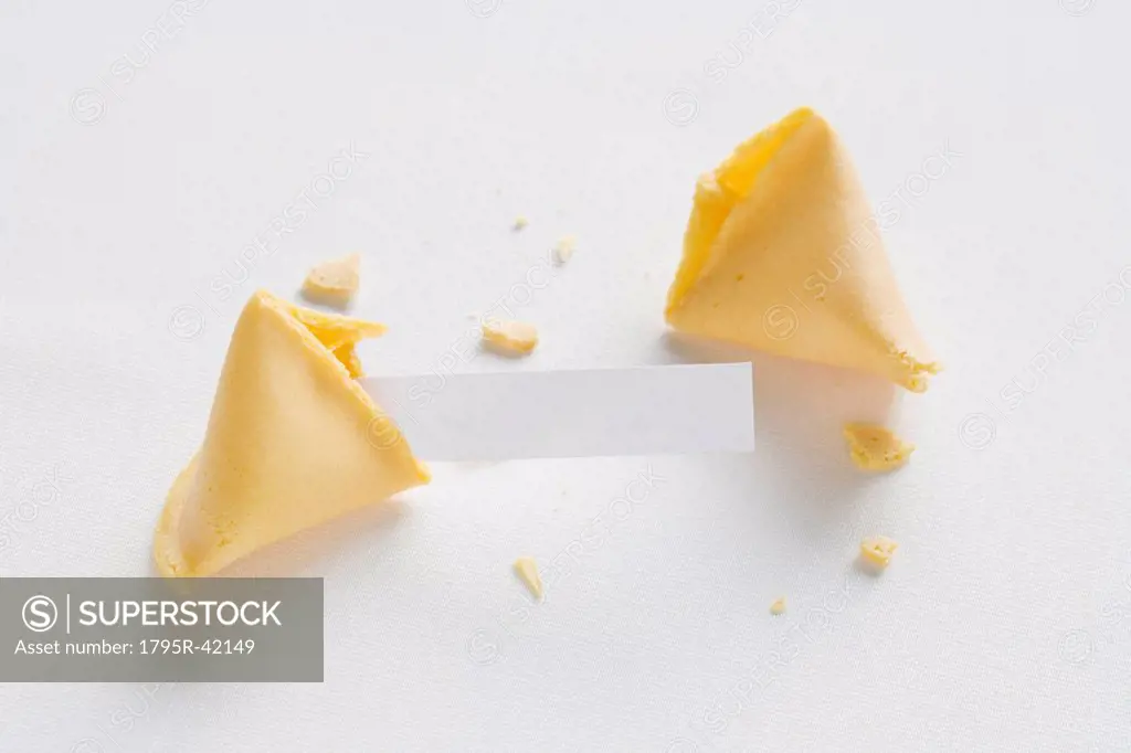 Fortune Cookie on white background