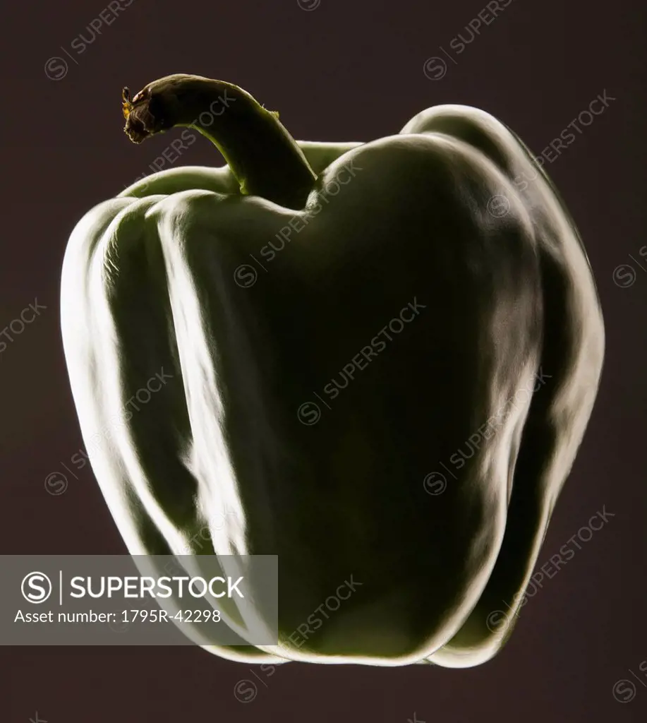 Studio shot of green bell pepper