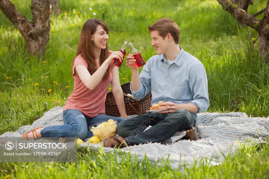 USA, Utah, Provo, Young couple toasting drinks during picnic